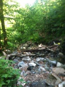 2012 Death Race Ravine
